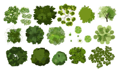 vector illustration, tree top view, garden layout, isolated foliage, landscape architecture, white b