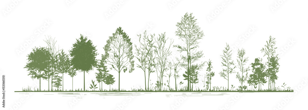Minimal style tree line cad drawing, side view section of wetland ...