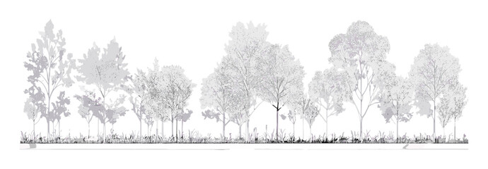 Side view architectural tree drawing, forest line in minimal cad style, wetland section set for landscape plan, vector illustration, design elements, garden planning, nature layout.