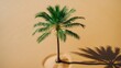 © TheWaterMeloonProjec - Aerial perspective of solitary palm tree on a sandy, deserted beach. copy space. Summer and travel theme. Minimalist design.