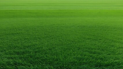 Poster - Artificial grass background for design, top view with a natural look.
