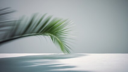 Poster - backdrop background featuring shadow leaves on a gray concrete wall in a room interior with cement f