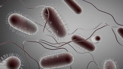 Poster - Bacteria multiply and swirl in dynamic patterns under microscope. Detailed illustration of microbial life reveals distinct forms and textures. Concept of microbiology, scientific research, health