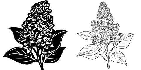 A contemporary black outline of a lilac flower branch is set against a white backdrop