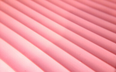 Fototapete - Abstract pink and white striped lines create a colorful textile pattern for a vibrant art backdrop