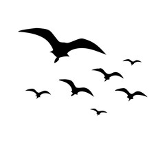  Silhouette of a flock of seagulls flying against a plain background.




