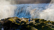 © Fokke Baarssen - Visitors stand on a rocky outcrop, gazing in awe at the powerful Dettifoss waterfall in Iceland. The sun casts a golden light over the cascading water, creating a breathtaking natural spectacle.