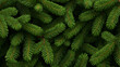 © ayesha - Seamless green Christmas fir tree  95EE8