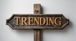 © Erlinda - trending lettering on medieval ancient sign wooden board on plain white background