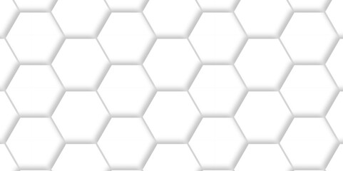 Poster - abstract minimal white lines hexagonal structure futuristic white wallpaper background embossed hexa