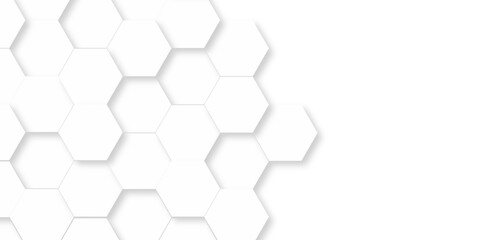 Poster - abstract minimal white lines hexagonal structure futuristic white wallpaper background embossed hexa