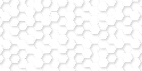 Poster - abstract minimal background with white lines hexagonal structure futuristic white background and emb