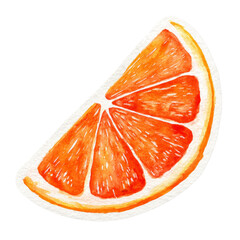 Aufkleber - Watercolor Orange Slice Illustration for Fresh Summer Concept Design Element