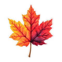 Poster - Autumn Foliage Delight: A Captivating Maple Leaf Displaying Rich Colors