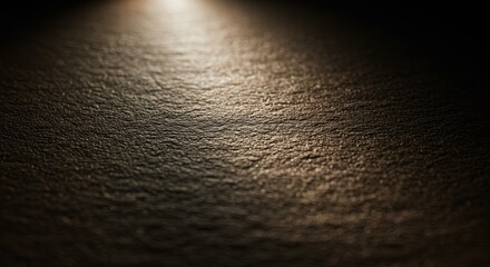 Poster - A close up of a dark surface with a light shining on it