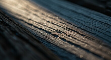Poster - The image is of a wooden surface with a dark color