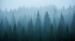 © sem.studio - Misty Forest An Enchanting View of Evergreen Trees in the Fog