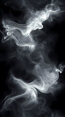 Wall Mural - digital technology black and white smoke curve illustration poster background
