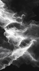 Wall Mural - digital technology black and white smoke curve illustration poster background