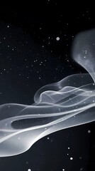 Wall Mural - digital technology black and white smoke curve illustration poster background