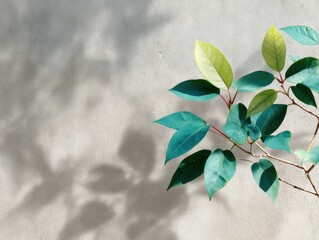 Poster - Soft Leaf Shadow Collage on Textured Wall with Organic Greenery Highlights for Nature-Inspired Spring Summer Mockups and Eco-Friendly Branding