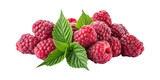 A beautiful close up of fresh raspberries with their green leaves isolated
