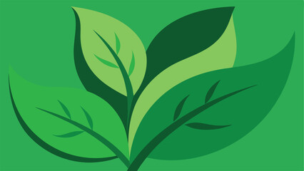 Poster - Vector illustration of green leaves on a transparent background for design projects