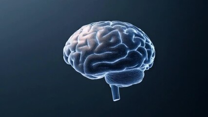 Poster - Anatomy of Thought: A detailed, high-tech 3D render of a human brain, glowing softly against a dark, space-like backdrop. The image captures the essence of intelligence.