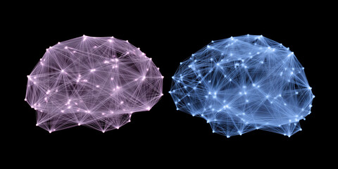 Fototapete - Abstract illustration of two interconnected brain structures, one in pink and the other in blue, showcasing neural networks and connections, representing cognitive processes and intelligence