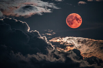 Wall Mural - full moon over the clouds