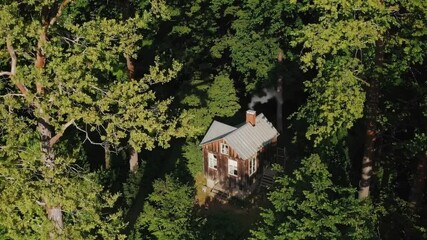 Poster - Cozy forest escape with wooden cabin surrounded by green trees, sunlight streaming through leaves, smoke rising gently