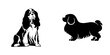 A modern and simple silhouette design of a 'cavalier king charles spaniel Dog' is presented with a black icon on a white background