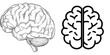 © aiVECTOR - A flat, modern icon depicting the brain or mind from the side, suitable for medical applications and websites