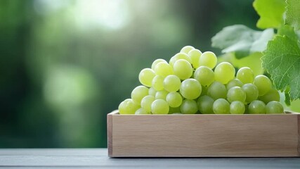 Poster - Fresh Grapes Harvested: A close-up shot of freshly harvested green grapes nestled in a wooden crate, evoking the essence of a bountiful harvest.