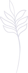 Poster - pale white line drawing is showing fern-like branch with paired leaves on transparent background