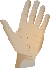 Poster - Stylized digital hand illustration is showing palm facing viewer with transparent background