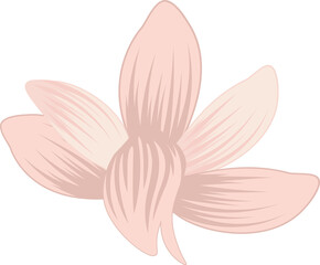 Poster - Vector-style six-petaled coral and peach flower is floating on transparent background, copy space