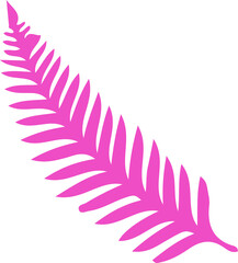 Poster - Pink fern-like frond is sitting diagonally on flat design showing leaflets, transparent background