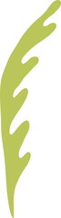 Poster - Abstract green form is appearing as stylized leaf shape in flat design, transparent background