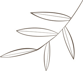 Poster - Stylized branch is extending diagonally in line-art with elliptical leaves, transparent background