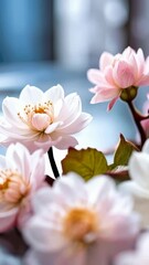 Wall Mural - Arrangement of delicate pink and white blossoms with golden centers on a reflective surface in soft light