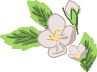 Poster - Flat floral arrangement is showing pink blooms, bud and green leaves on transparent background