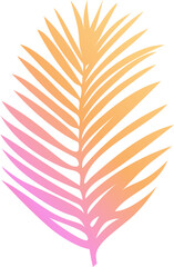Poster - Palm frond leaf is being shown in vector design with pink-yellow gradient transparent background