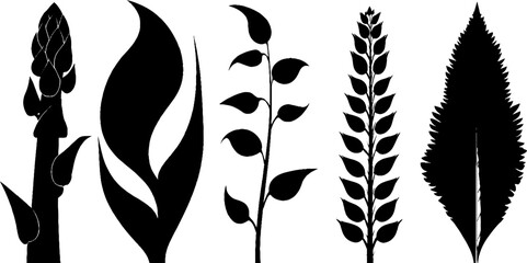 Poster - Stylized asparagus spear and leaf silhouettes for nature-inspired designs