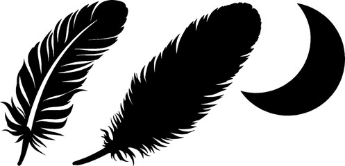 Poster - Feather silhouette set with swirl line and star elements for design use
