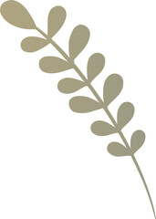 Poster - Minimalist design is showing stylized beige plant branch with oval leaves on transparent background