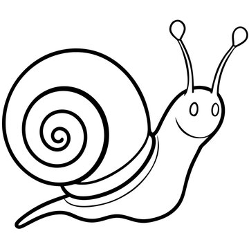 Minimalist Snail Line Art on Clean White Canvas