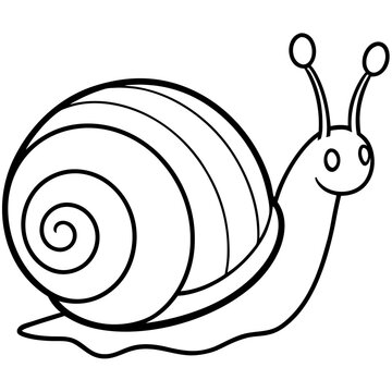 Minimalist Snail Line Art on Clean White Canvas