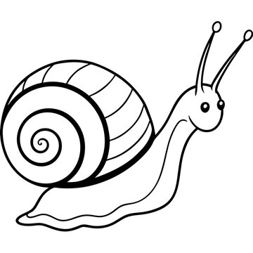 Minimalist Snail Line Art on Clean White Canvas