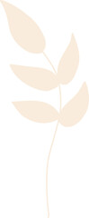 Poster - Stylized leafy branch is being shown in flat design, with five cream leaves, transparent background